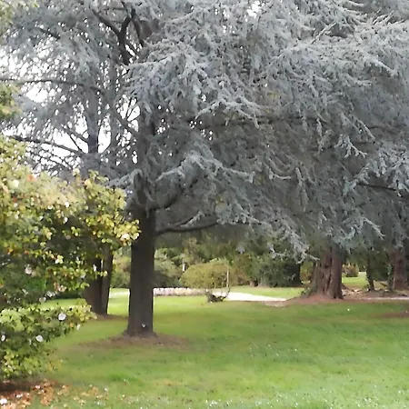 Camoscio With Private Garden アパート