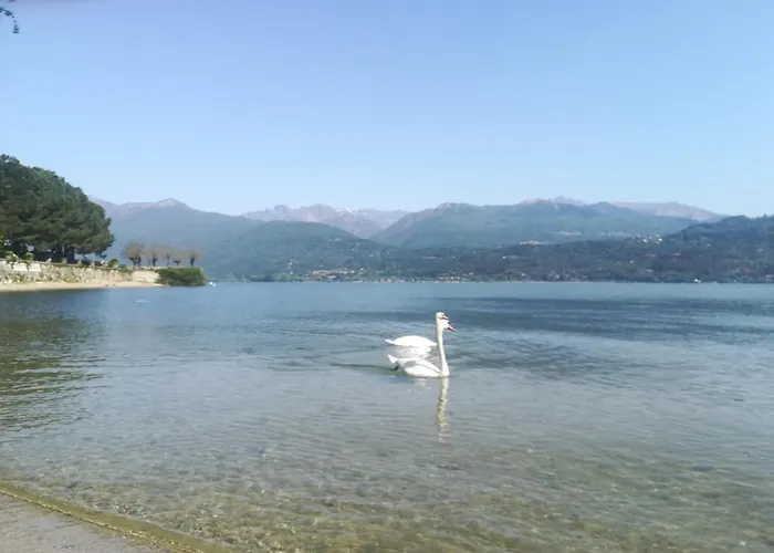 Camoscio With Private Garden