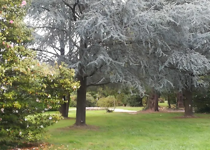 Camoscio With Private Garden アパート